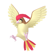 pidgeotto 0 lys